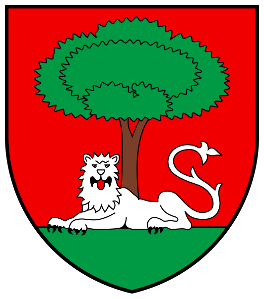 Naheliegendes Ersatzwappen für Etoile Carouge