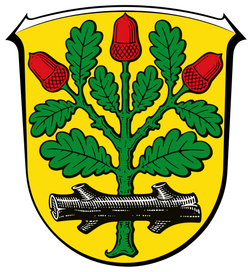 Naheliegendes Ersatzwappen für REC Langen