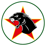 Wappen A.P.D. Pumas Ancora Viareggio