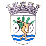 Wappen Associação Desportiva de Valongo